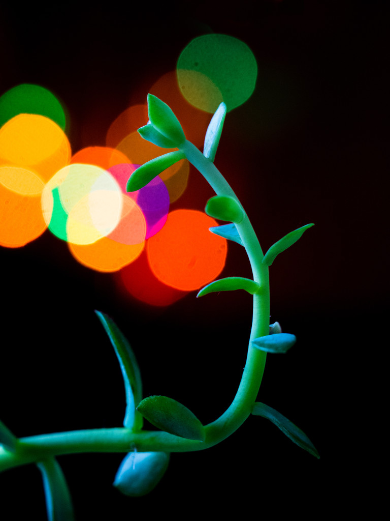 Bokeh Color by tosee