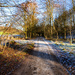 Frosty Afternoon by frequentframes