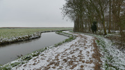 1st Feb 2019 - winter in Holland
