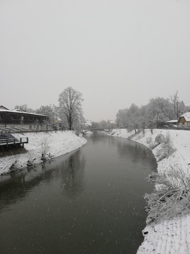 snowing Ljubljana by nami