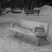 Chilly Bench by selkie