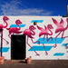 desert flamingos by blueberry1222