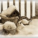 A Birdhouse in the Snow by olivetreeann
