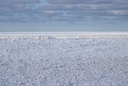 1st Feb 2019 - frozen lake
