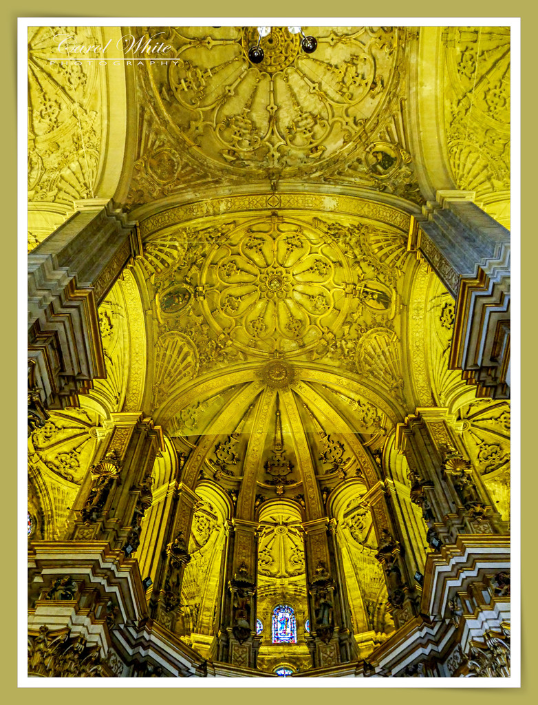 Ornate Ceiling,Malaga Cathedral by carolmw