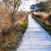 Frosty Path by frequentframes