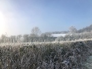 2nd Feb 2019 - Winter frost