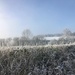 Winter frost by happypat