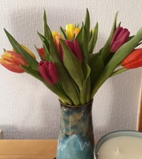 2nd Feb 2019 - Tulip time