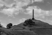 1st Feb 2019 - One Tree Hill in Auckland