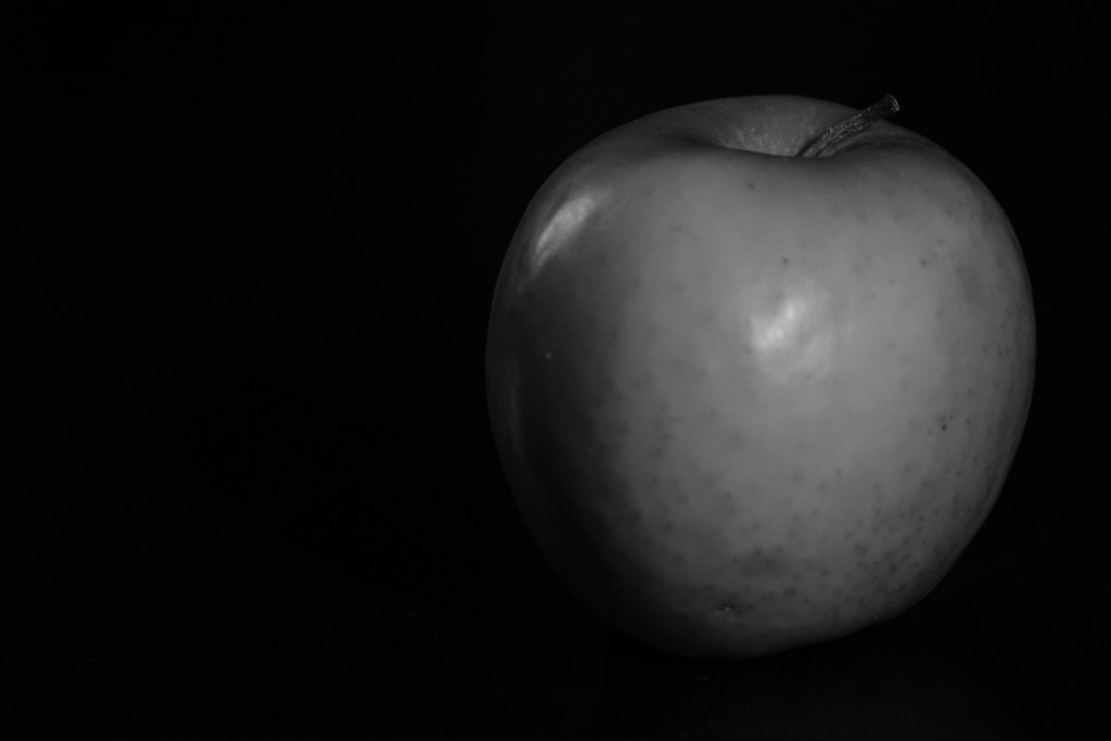 apple in b&w by amyk