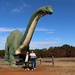 Dinosaur Valley State Park by ingrid01