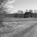 Old Barn on the Bottomlands by lsquared