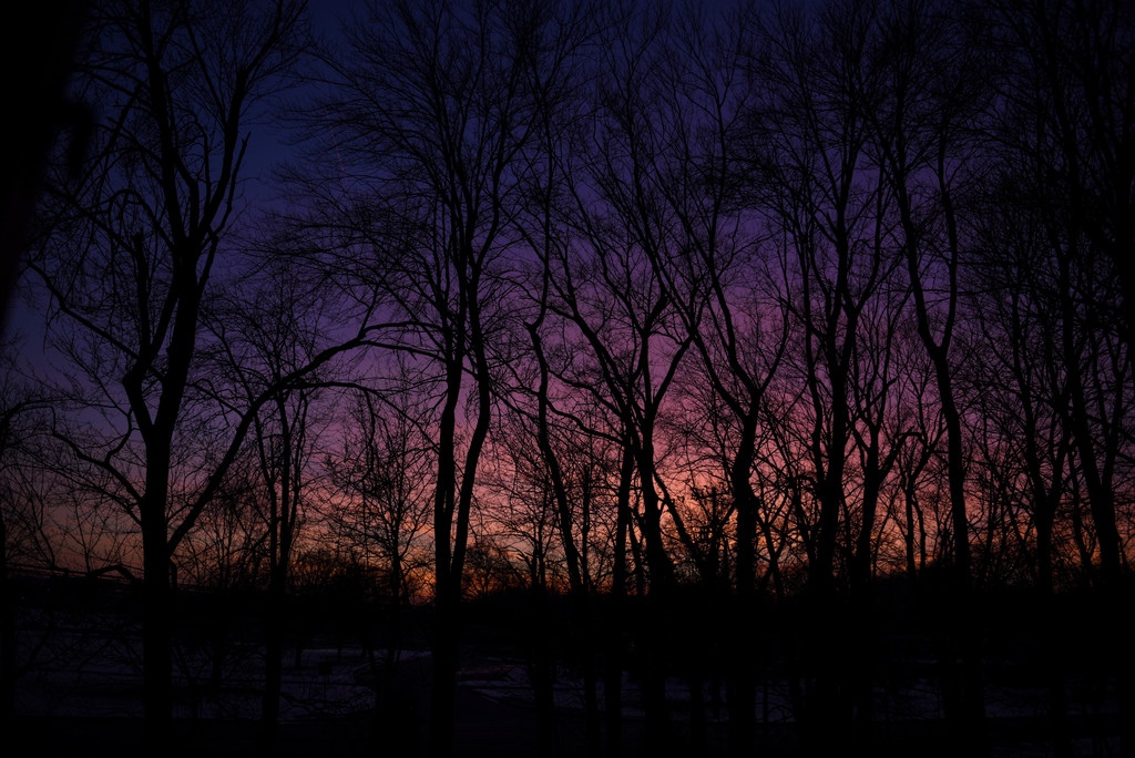 Winter Sunset by loweygrace