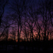 Winter Sunset by loweygrace