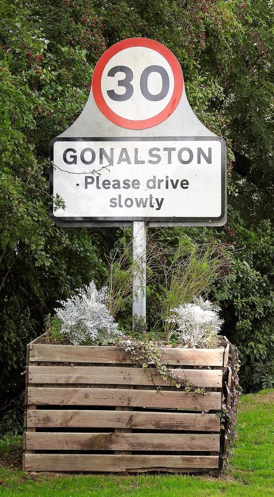 Gonalston by oldjosh