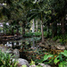 Southbank garden, Brisbane by sugarmuser