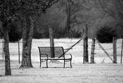 3rd Feb 2019 - The Empty Bench