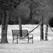 The Empty Bench by genealogygenie