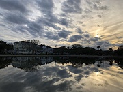 4th Feb 2019 - Colonial Lake reflections