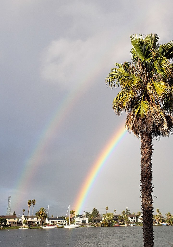 Double Rainbow 🌈 🌈 by melinareyes