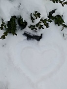 1st Feb 2019 - Snowy Heart 