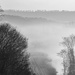 Fog on the River by milaniet