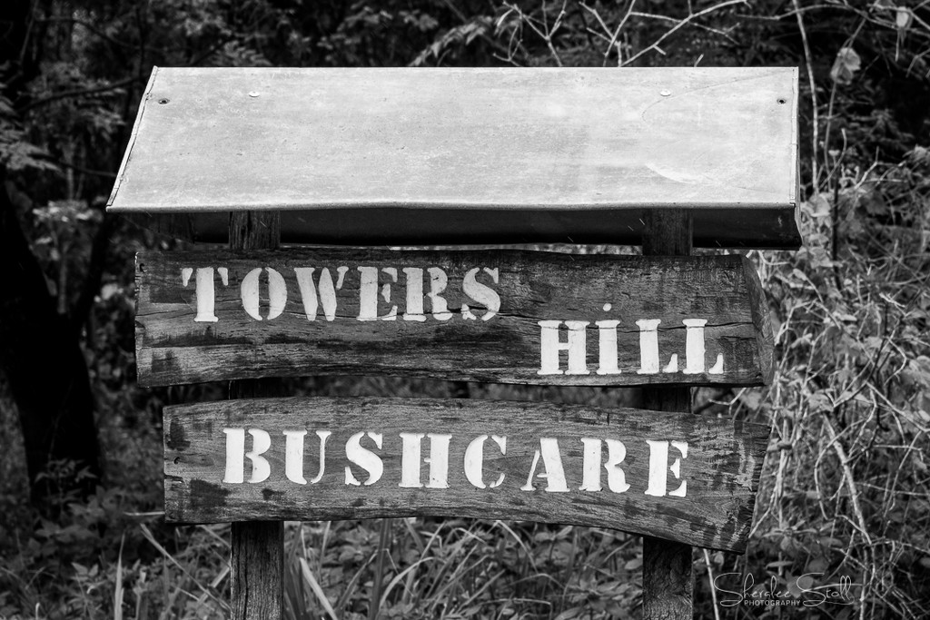Towers Hill Bushcare by bella_ss