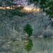 Hickory Lake Sunset by kvphoto