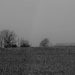 February 6: Corn Field in Winter by daisymiller