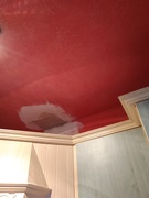 6th Feb 2019 - There was a hole in my ceiling.my ceiling.my ceiling