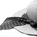 mon chapeau:  french for my hat by summerfield