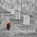 Jefferson Barracks National Cemetery, with Selective Color by lsquared