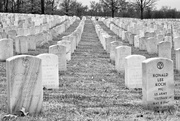 6th Feb 2019 - Jefferson Barracks National Cemetery