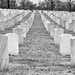 Jefferson Barracks National Cemetery by lsquared