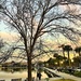 Colonial Lake Park around sunset yesterday. by congaree