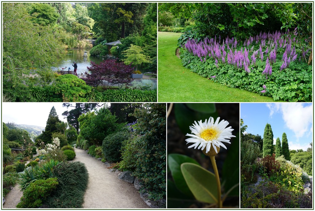 Botanic Gardens by dide