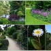 Botanic Gardens by dide