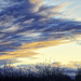 Evening Sky by joysfocus