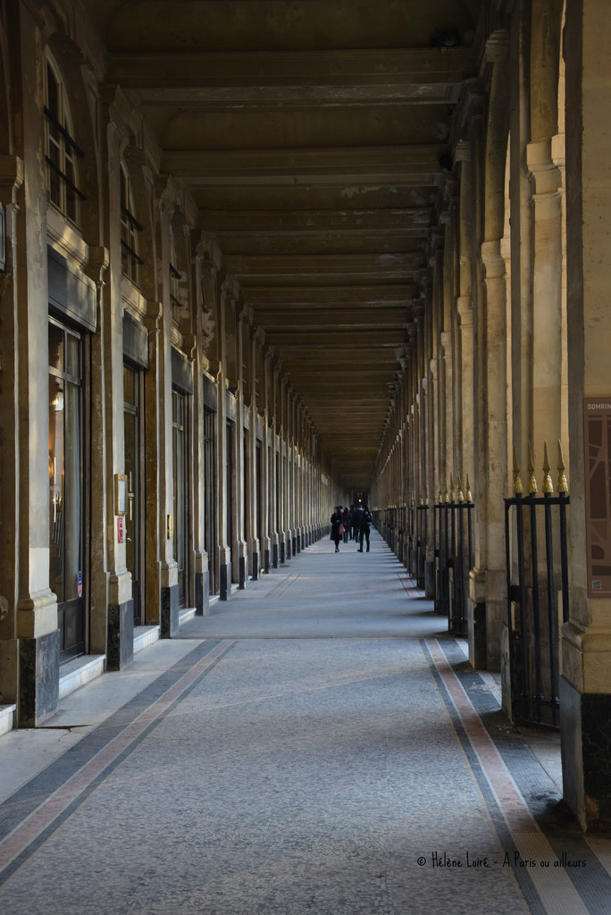 palais royal by parisouailleurs