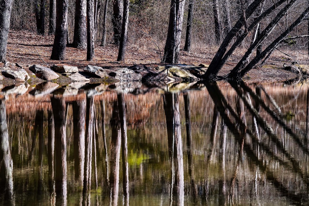 Still Waters - Cool Reflections by milaniet