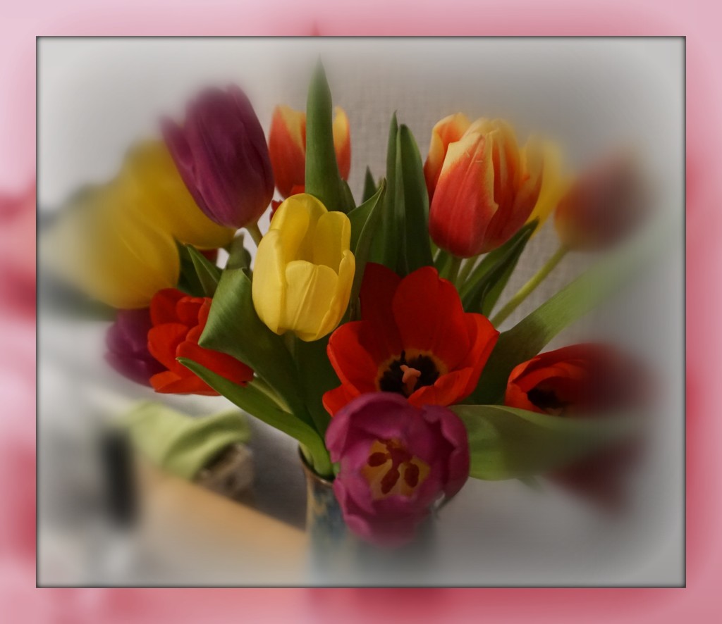 Tulips  Day 5 by sarah19