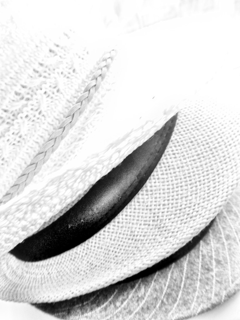 The difference between a fedora and trilby? by shannejw
