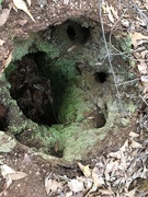 7th Feb 2019 - Mysterious Hole