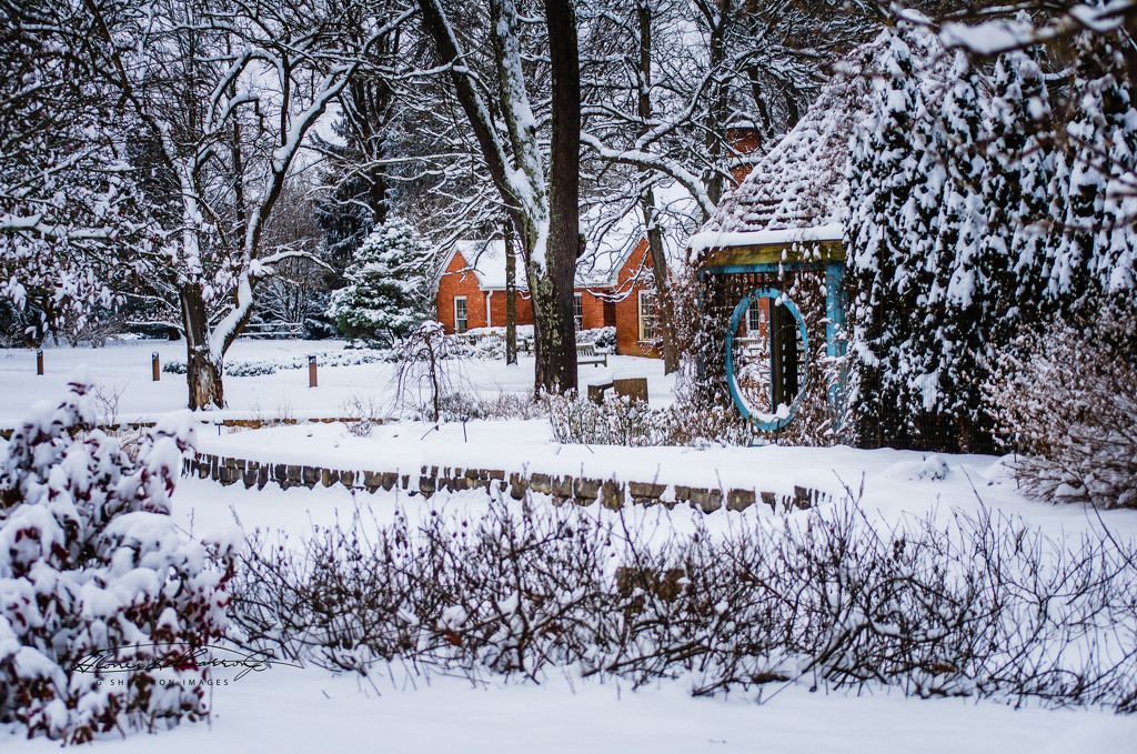 Winter at Inniswood Garden by ggshearron