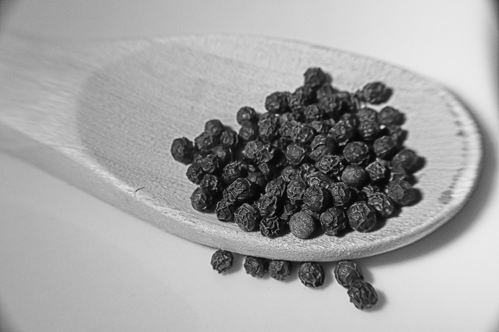 Day 38:  Wooden Spoon & Peppercorns by sheilalorson