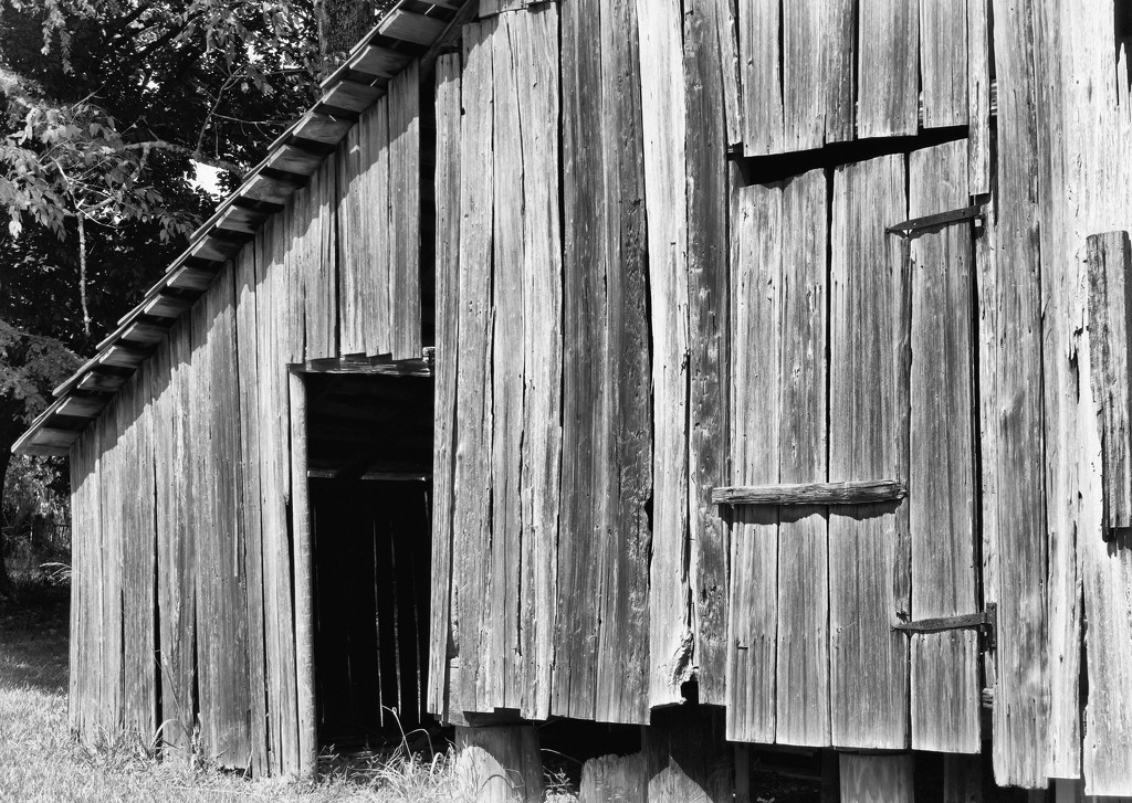 Acadian Barn by eudora
