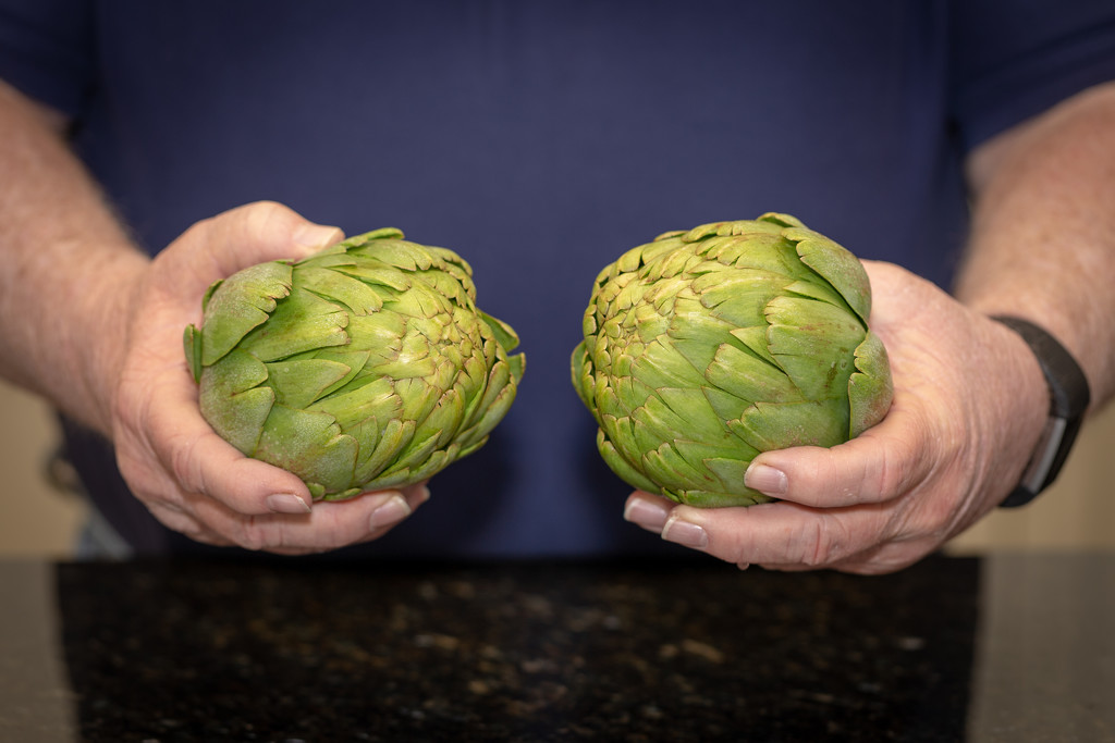 What do you call a conversation between two artichokes? by lindasees