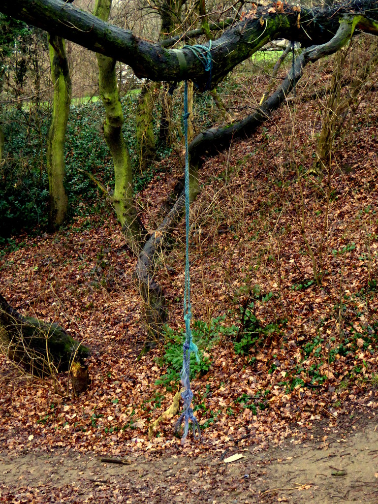 Rope-swing by gaf005