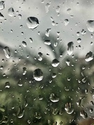 7th Feb 2019 - Rain